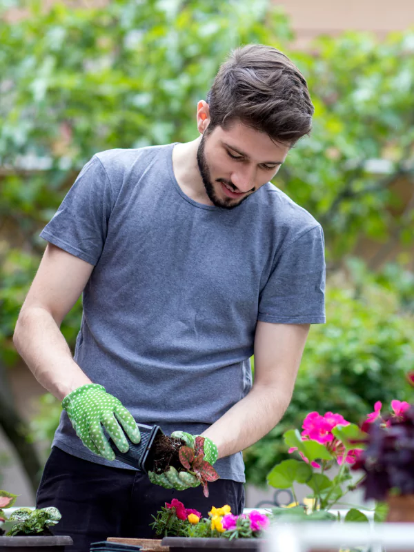 Garden Renovation Services in Coimbatore